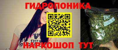 ALPHA PVP Кингисепп