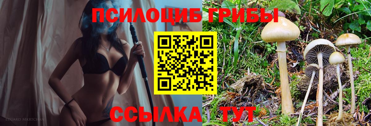 Псилоцибиновые грибы Cubensis Заречный